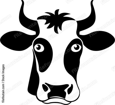 Funny Cow