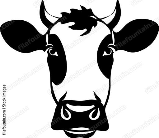 Funny Cow