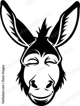 Funny Donkey Face