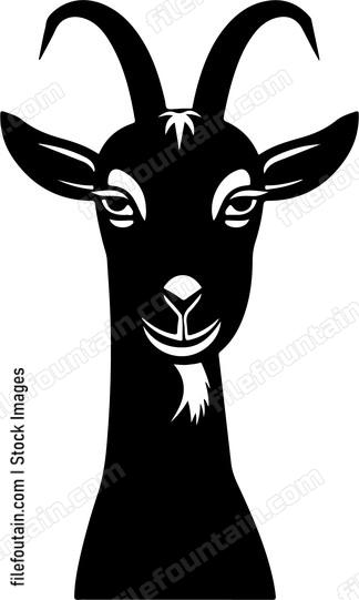 Funny Goat