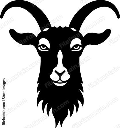 Funny Goat