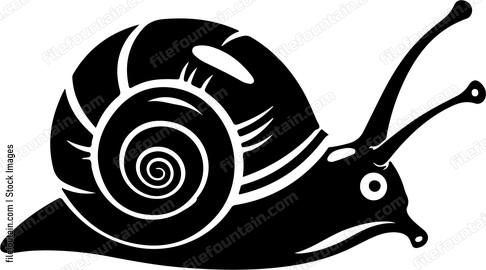 Garden Snail