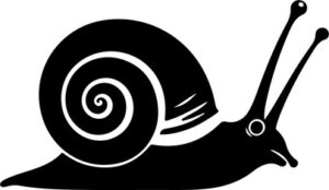 Garden Snail