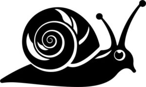 Garden Snail
