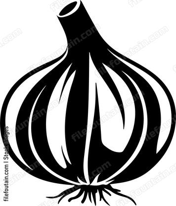 Garlic Clove