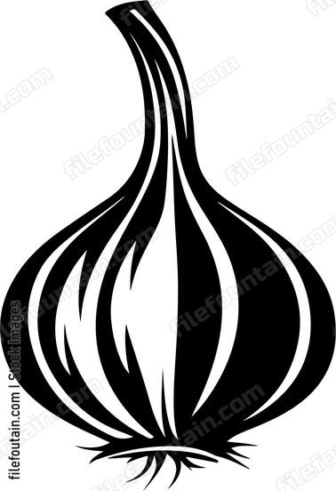 Garlic Clove