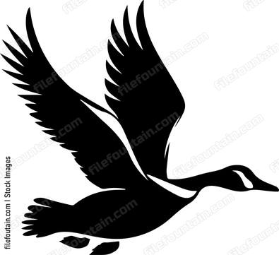 Geese Hunting
