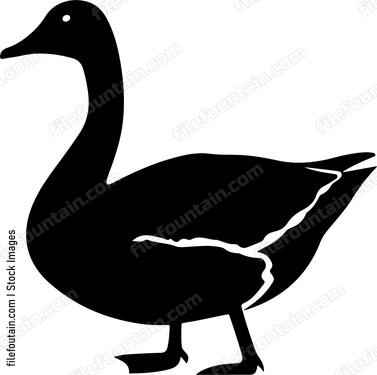 Geese Hunting