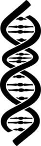 Genetic Code
