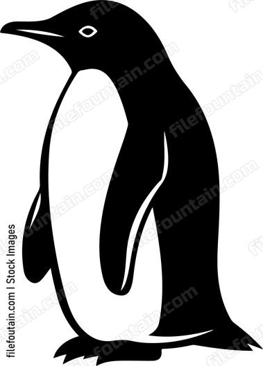 Gentoo Penguin