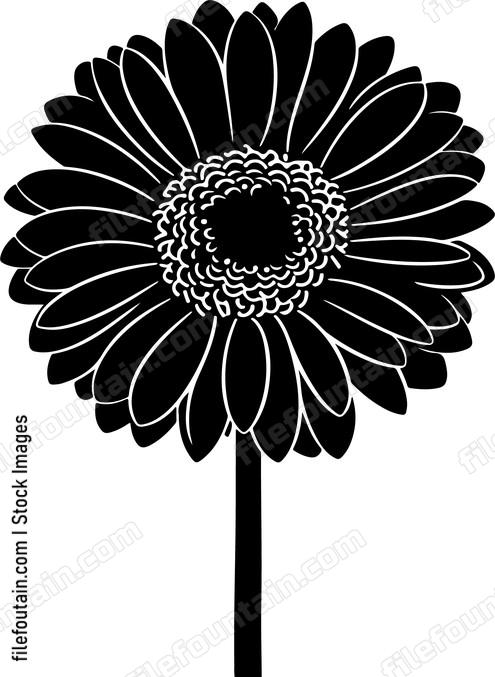 Gerbera Flower