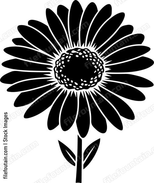 Gerbera Flower