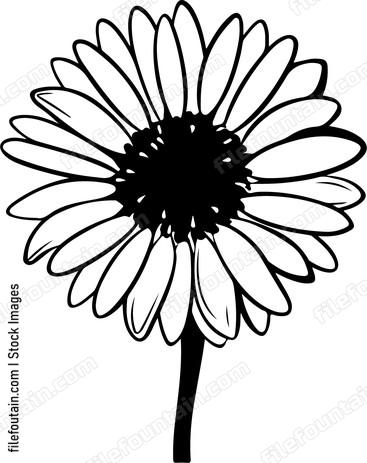 Gerbera Flower