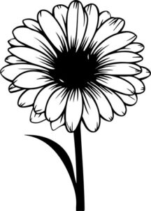 Gerbera Flower