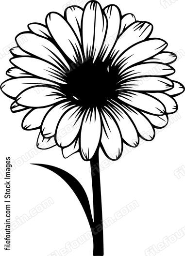 Gerbera Flower
