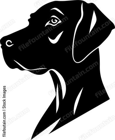 German Shorthaired Pointer