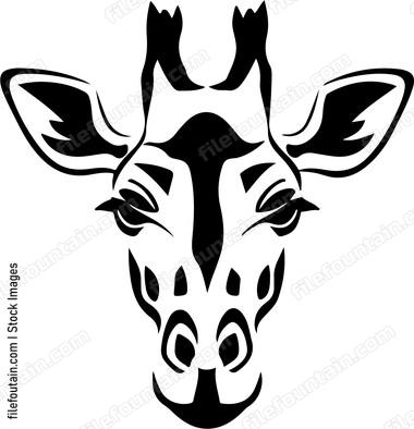 Giraffe Face