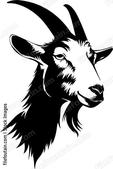 Goat