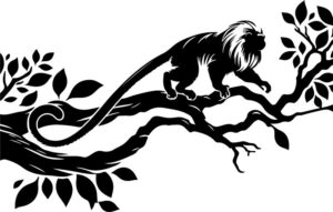 Golden lion tamarin monkeys leaping agilely between tree branches