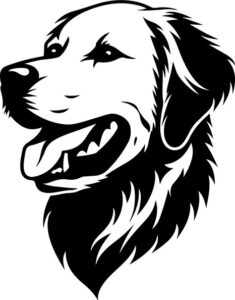 Golden Retriever Head