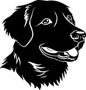 Golden Retriever Head