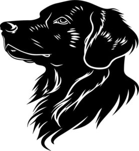 Golden Retriever Head