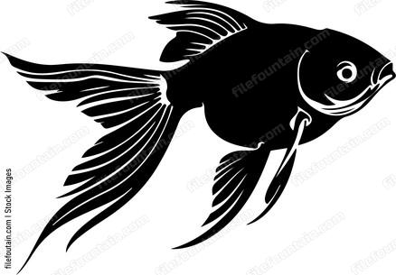 Goldfish