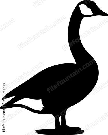 Goose