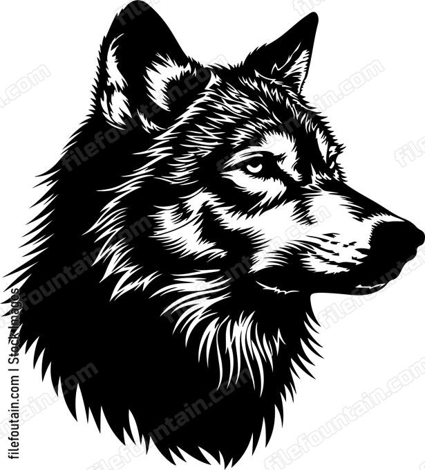 Gray Wolf