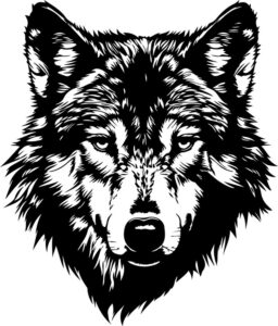 Gray Wolf