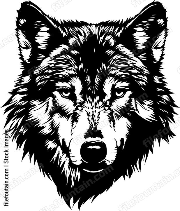 Gray Wolf