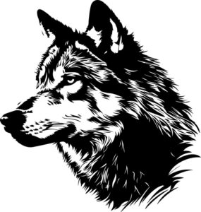 Gray Wolf