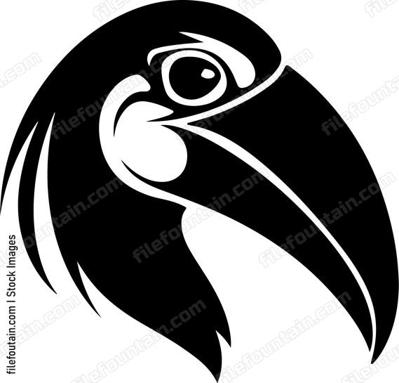 Great Hornbill Bird Head