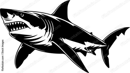 Great White Shark