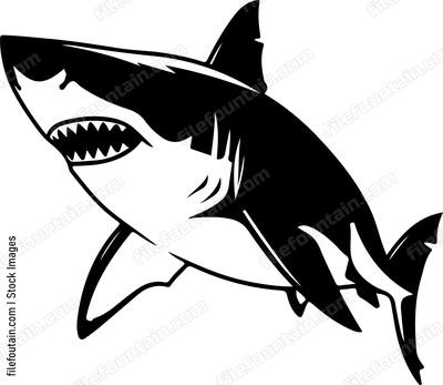 Great White Shark