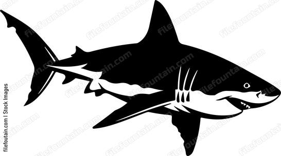 Great White Shark