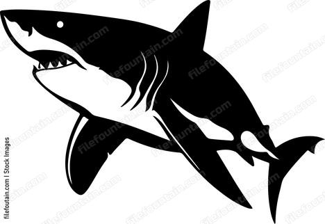Great White Shark
