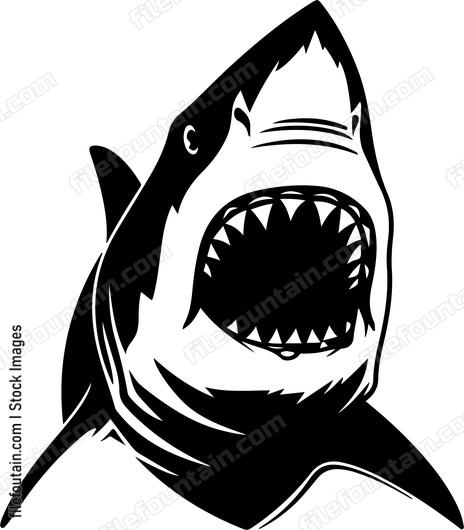 Great White Shark Attack