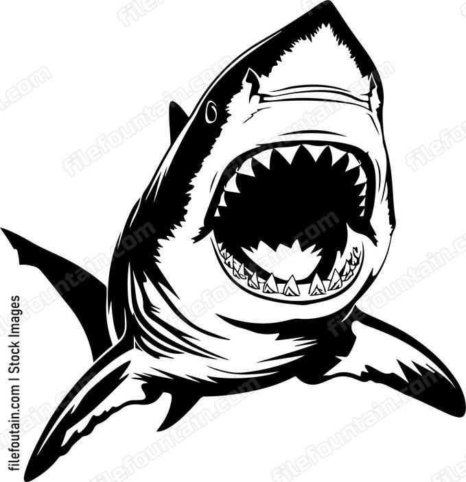 Great White Shark Attack