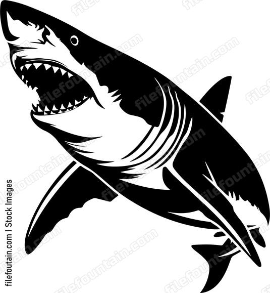 Great White Shark Attack