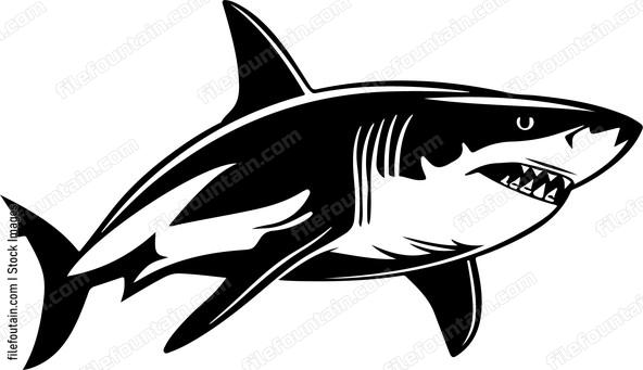Great White Shark Design