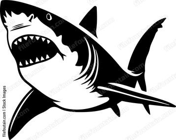 Great White Shark Design