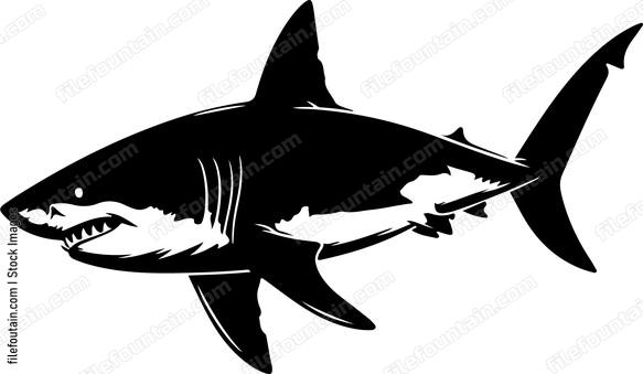 Great White Shark Design