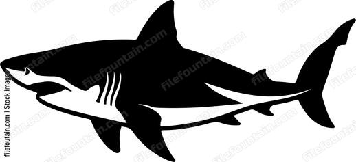 Great White Shark Design