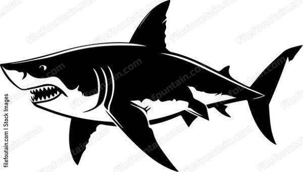 Great White Shark Design