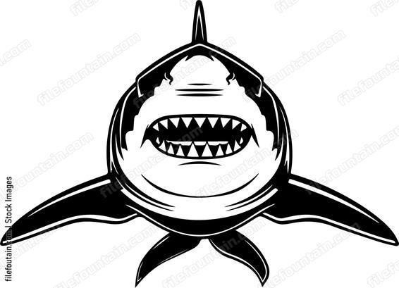 Great White Shark Front