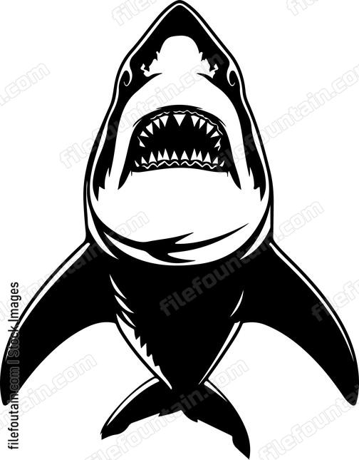 Great White Shark Front