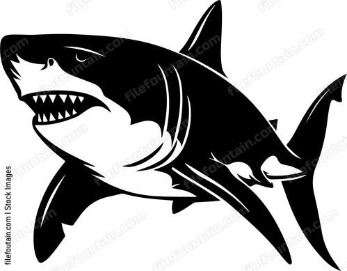 Great White Shark Front