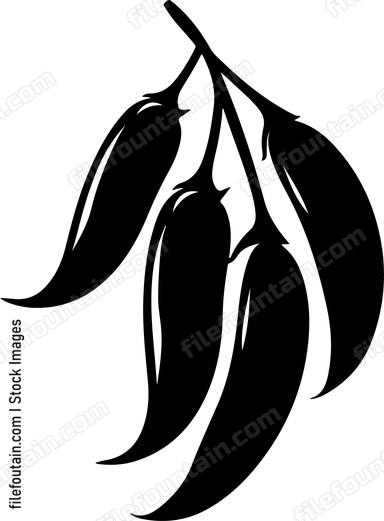 Green Beans