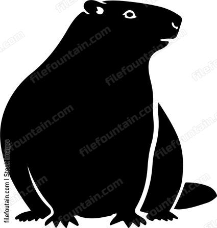 Groundhog Woodchuck